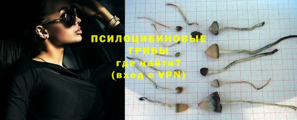твердый Алзамай