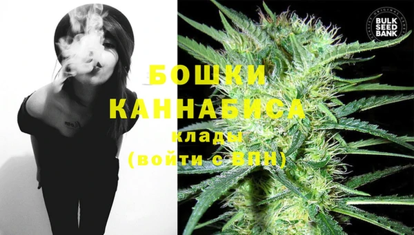 дурь Рославль