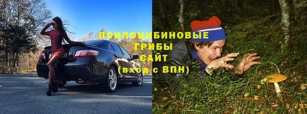 твердый Алзамай
