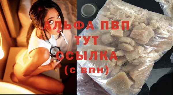 гидра Алексеевка
