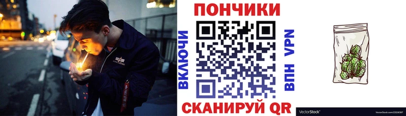 купить наркотик  мега маркетплейс  Каннабис Ganja  Новоузенск 